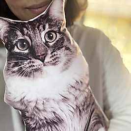 Kedi Yastık Kişiye Özel