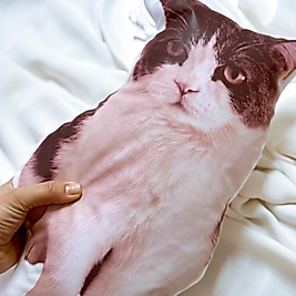 Kedi Yastık kişiye Özel