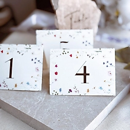 Sole Masa Numaratörü