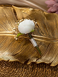 Neptün Damat Yaka Çiçeği