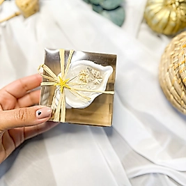 Sahara İstiridye Mum Hediyelik