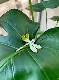 Yusufçuk Pleksi 3 cm