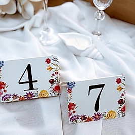 Kapra Masa Numaratörü